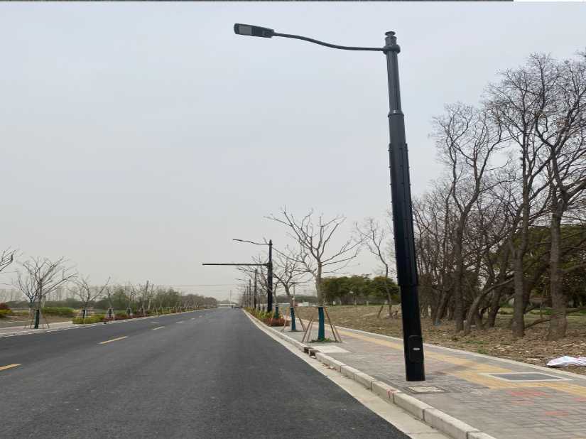 三台县上海综合杆 太阳能路灯工程